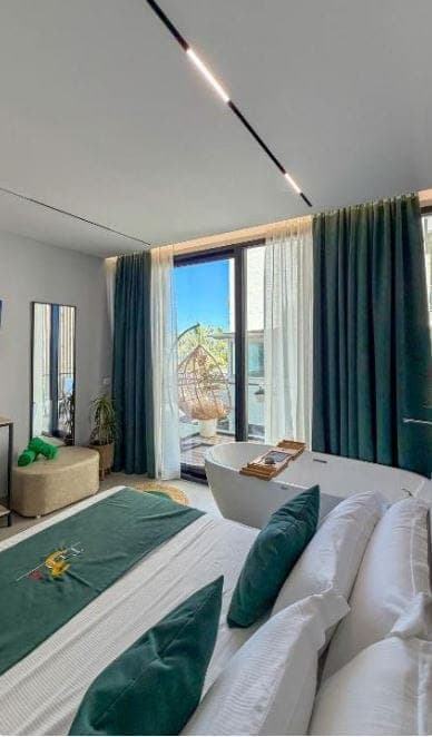 Deluxe Suite image 1